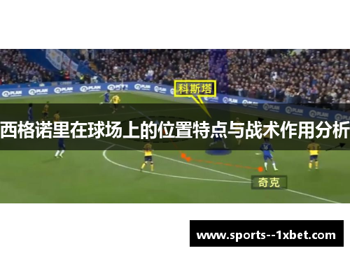 西格诺里在球场上的位置特点与战术作用分析