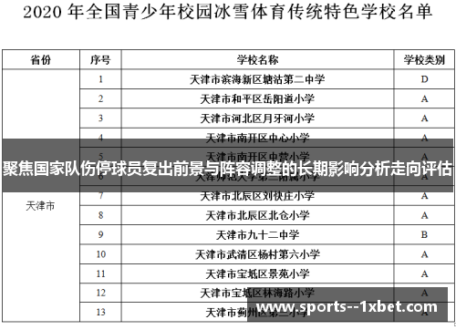 聚焦国家队伤停球员复出前景与阵容调整的长期影响分析走向评估